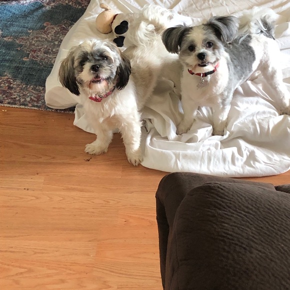 Meet your Posher, Roxanne - Picture 5 of 7